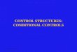Bordoloi and Bock CONTROL STRUCTURES: CONDITIONAL CONTROLS