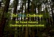 The Blue Challenge BC Forest Industry Challenge and Opportunities