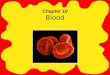Chapter 10 Blood. Serology Serology is the examination and analysis of body fluids. A forensic serologist may analyze a variety of body fluids including