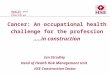 Health and Safety Executive Health and Safety Executive Cancer: An occupational health challenge for the profession …..in construction Ian Strudley Head