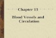 1 Chapter 13 Blood Vessels and Circulation. 2   Blood Vessels  A.The blood vessels (arteries, arterioles, capillaries, venules, and veins) form a closed