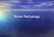 Bone Pathology. Normal anatomy of bones Parts of a long bones: Parts of a long bones: 1. diaphysis (shaft), 2. physis (growth plate), 3. epiphysis (ends