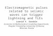 Electromagnetic pulses related to seismic waves can trigger lightning and TLEs Leonid V. Sorokin Economic & Mathematical modeling Department, Peoples’