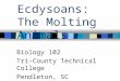 Chapter 33 The Ecdysoans: The Molting Animals Biology 102 Tri-County Technical College Pendleton, SC