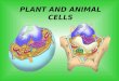 PLANT AND ANIMAL CELLS. Early Scientists’ Contributions: Record notes on pages 2 and 3