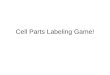 Cell Parts Labeling Game!. A B C D E F Type of Cell? _____________