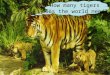 How many tigers does the world need?. CB 52.22 Human Population Growth