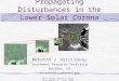 34th Solar Physics Division Meeting, June 2003 Propagating Disturbances in the Lower Solar Corona Meredith J. Wills-Davey Southwest Research Institute