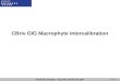 ECOSTAT meeting – Ispra (IT), 03+04 July 2007 1 of 14 CBriv GIG Macrophyte Intercalibration