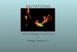 MUTATIONS Honors Biology Section 11.6 & Biology Section 8.7 Revised 2011