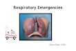 Respiratory Emergencies Jessica Owen, CCRN Anatomy