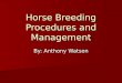 Horse Breeding Procedures and Management By: Anthony Watson