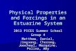 Physical Properties and Forcings in an Estuarine System 2013 PICES Summer School Group 4 Matthew, Daniel, Jingsong, Chorong, Joocheul, Morgaine, Polina,