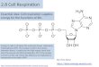 Essential idea: Cell respiration supplies energy for the functions of life. By Chris Paine  2.8 Cell Respiration Energy