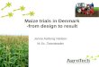 Maize trials in Denmark -from design to result Janne Aalborg Nielsen M.Sc.,Teamleader