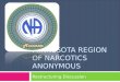 MINNESOTA REGION OF NARCOTICS ANONYMOUS Restructuring Discussion