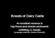 Breeds of Dairy Cattle An excellent resource is   exhibiting 11 breeds (use google, search for: breeds of livestock)