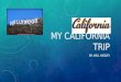 MY CALIFORNIA TRIP BY: WILL NISSLEY. SAN DIEGO I had lots of fun in San Diego! I went to the San Diego Zoo and I saw bears, a brown striped zebra, birds,