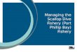Managing the Scallop Dive Fishery (Port Phillip Bay) Fishery