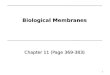 Biological Membranes Biological Membranes 1 Chapter 11 (Page 369-383) Chapter 11 (Page 369-383)