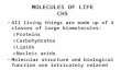 MOLECULES OF LIFE CH5 All living things are made up of 4 classes of large biomolecules: o Proteins o Carbohydrates o Lipids o Nucleic acids Molecular structure