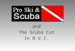 And The Scuba Cat In B.V.I.. The Boat 4 Cabins Galley 2 Heads w/ Showers Covered Deck Large Dining area Smooth Sailing Vessel