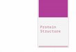 Protein Structure. Primary Structure  The primary structure is the sequence of amino acids, which is different for each protein