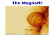 The Magnetic Sun. What is the Sun? The Sun is a Star, but seen close-up. The Stars are other Suns but very far away