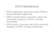 DNA Metabolism DNA replication: processes which DNA is being faithfully duplicated. DNA recombination: processes which the nucleotide sequence of DNA is