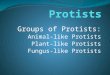 Groups of Protists: Animal-like Protists Plant-like Protists Fungus-like Protists