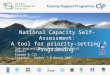 National Capacity Self-Assessment: A tool for priority-setting & Programming Sub-regional Workshop for GEF Focal Points Europe & CIS Istanbul, Turkey 7-8
