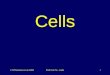 © NTScience.co.uk 2005KS3 Unit 7a - Cells1 Cells