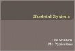 Life Science Mr. Petriccione.  What does the skeletal system do?