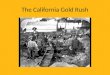 The California Gold Rush. John Sutter Gold was found on his land