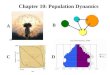 Chapter 10: Population Dynamics 13 A B CD. 12 Chapter 10: Population Dynamics E N t = N o e rt t N t = N o
