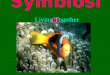 Symbiosis Living Together. What is Symbiosis? Literal definition: the act of living together What it means: –Two organisms that live together –Temporarily