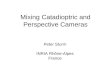 Mixing Catadioptric and Perspective Cameras Peter Sturm INRIA Rhône-Alpes France