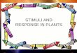 STIMULI AND RESPONSE IN PLANTS. . Two types of responses: tropism and nastic movement Tropism - Growth response in a particular direction - Occurs slowly,