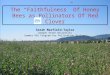 The “Faithfulness” Of Honey Bees as Pollinators Of Red Clover Sarah Maxfield-Taylor Oregon State University Summer REU Program For Pollination Biology