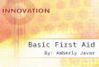 Basic First Aid By: Amberly Javar Importance It is important to understand the basic first aid principles You must be certified by a trained instructor