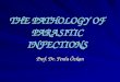 THE PATHOLOGY OF PARASITIC INFECTIONS Prof. Dr. Ferda Özkan
