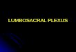 LUMBOSACRAL PLEXUS. Lumbosacral Plexus Components: Components: Lumbar plexus: L1--L4. Lumbosacral trunk: L4â€”L5. Sacral plexus: S1â€”S4