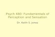 Psych 480: Fundamentals of Perception and Sensation Dr. Keith S. Jones