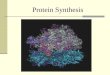 Protein Synthesis. Making proteins from genes One gene-one enzyme hypothesis (Beadle and Tatum) Later revised to the one gene-one polypeptide hypothesis