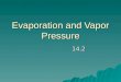 Evaporation and Vapor Pressure 14.2. Phase Changes