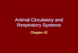 Animal Circulatory and Respiratory Systems Chapter 42