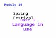 Unit 3 Language in use Spring Festival Module 10