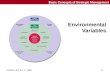 Prentice Hall, Inc. © 20081-1 Basic Concepts of Strategic Management Environmental Variables