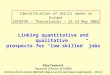 Identification of skills needs in Europe CEDEFOP – Thessaloniki – 22-23 May 2003 Linking quantitative and qualitative prospects for “low-skilled” jobs