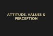 Attitudes are evaluative statements – either favorable or unfavorable about objects, people or events.  They reflect how we feel about something
